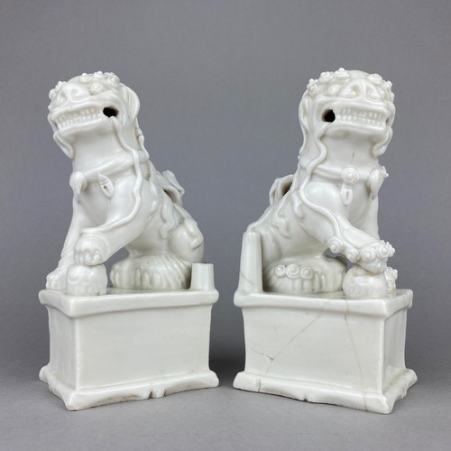 Antique chinese porcelain - antique, foo